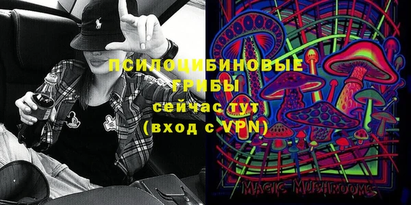 прущая мука Вяземский