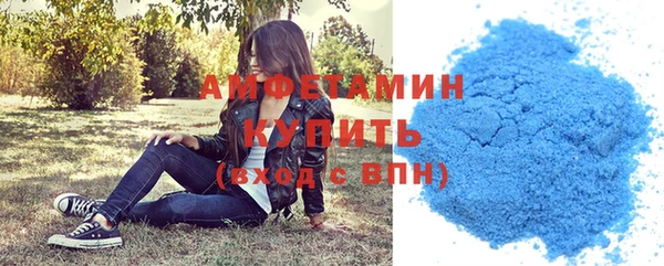 ПСИЛОЦИБИНОВЫЕ ГРИБЫ Вязники