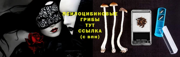 амф Володарск