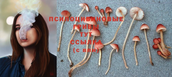 амф Володарск