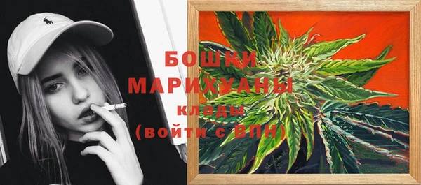 амф Володарск